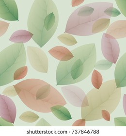 leaflets multicolored