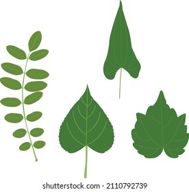 ilustración plana vectorial de caracteres de hojas