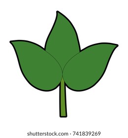 leafs decoratives isolated icon