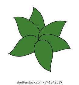 leafs decoratives isolated icon