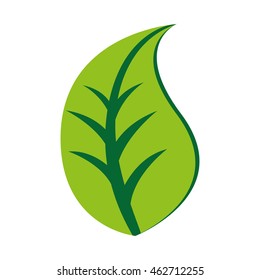 leafs ecology symbol icon vector illustration design