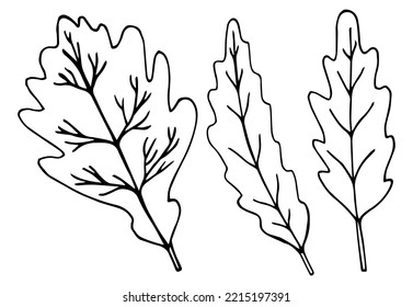 Leafs. Element for coloring page. 