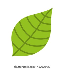 leafs floral nature icon vector isolated graphic