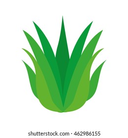 leafs floral nature icon vector isolated graphic