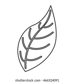 leafs floral nature icon vector isolated graphic