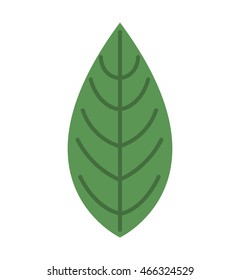 leafs floral nature icon vector isolated graphic
