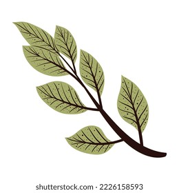 leafs foliage in branch icon