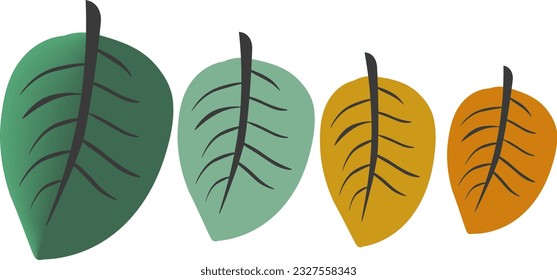 Leafs with four colors as vector for every season 