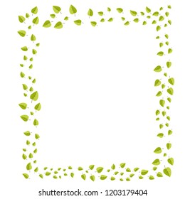 Leafs frame for decoration for web and print illsutration . Vecotor cartoon spring green leaves. 