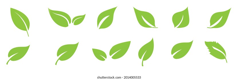 Leafs green set. Green leaf ecology nature element symbol isolated on white background.