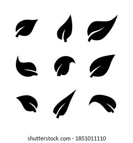 Leafs icon symbol vector on white background