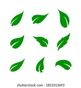 Símbolo de icono de leafs vector sobre fondo blanco