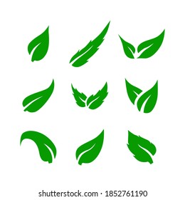 Leafs icon symbol vector on white background