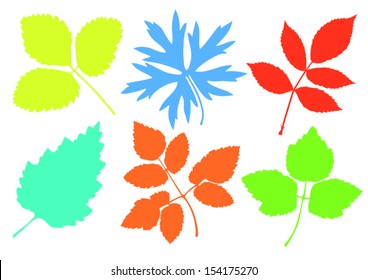 Leafs isolated on white. Watercolor.
