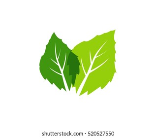 Leafs logo