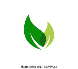 Leafs logo