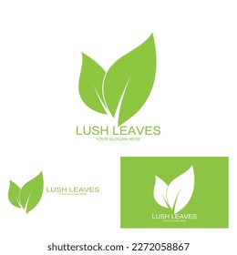 leaf's logo icon vector illustration template design