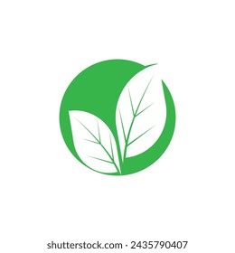 Diseño de plantilla de ilustración vectorial de icono de logotipo de hoja