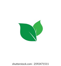 leaf's logo icon vector illustration template design