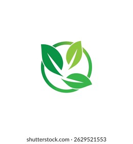 leaf's logo icon vector illustration template design
