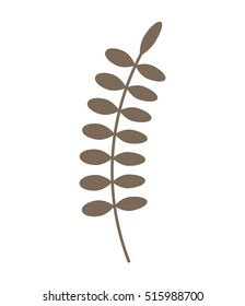 leafs plant christmas decoration vector illustration design