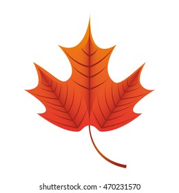 leafs plant decoration isolated icon vector illustration design