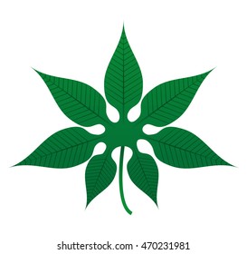 leafs plant decoration isolated icon vector illustration design