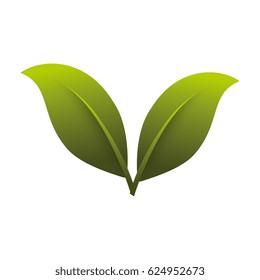 leafs plant decorative icon