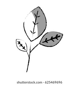 leafs plant decorative icon