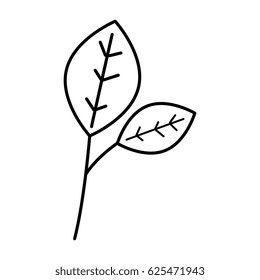 leafs plant decorative icon