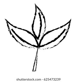 leafs plant decorative icon