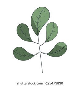 leafs plant decorative icon