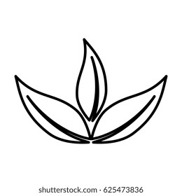 leafs plant decorative icon