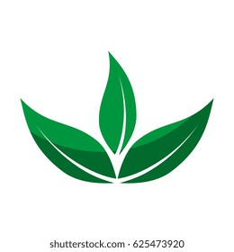 leafs plant decorative icon