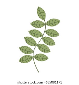leafs plant decorative icon