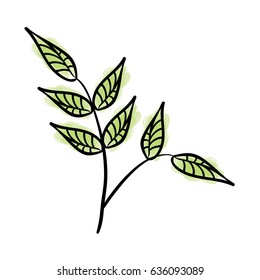 leafs plant decorative icon