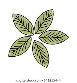 leafs plant decorative icon