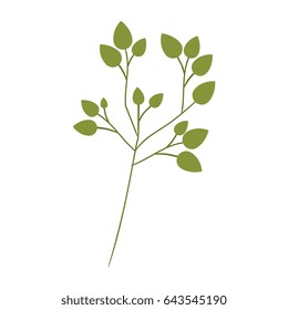 leafs plant decorative icon