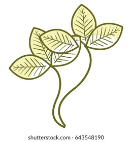 leafs plant decorative icon