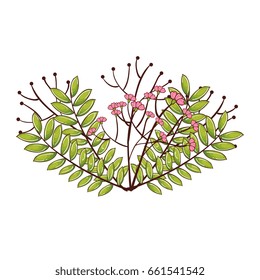 leafs plant decorative icon