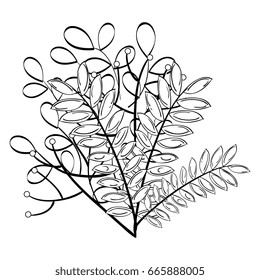 leafs plant decorative icon