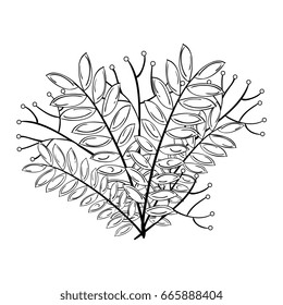 leafs plant decorative icon