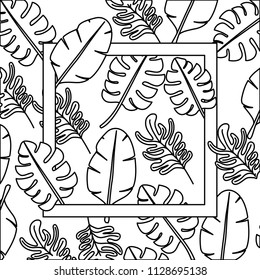 leafs plant ecology frame