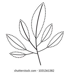 leafs plant ecology icon