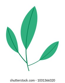 leafs plant ecology icon