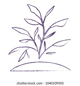 leafs plant ecology icon