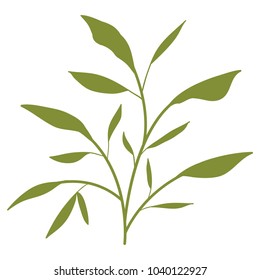 leafs plant ecology icon