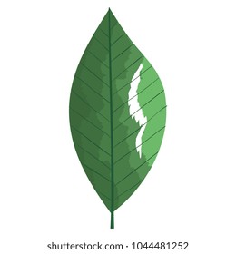 leafs plant ecology icon