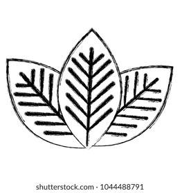 leafs plant ecology icon