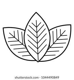 leafs plant ecology icon
